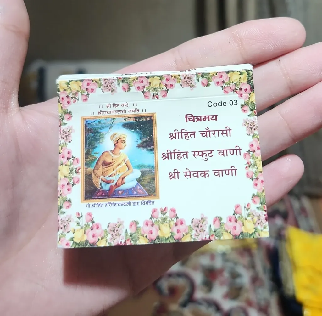 Mini Chaturasi Ji